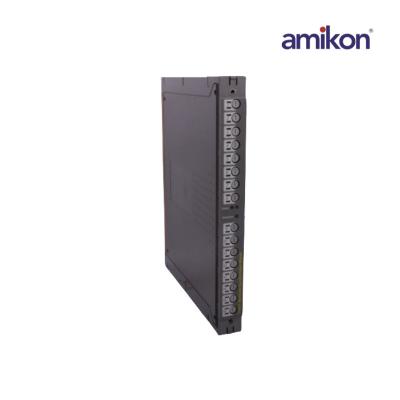 แชสซี ICS Triplex AMIKON T8240C IO