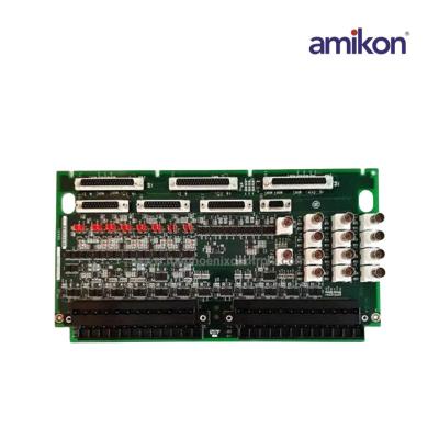 General Electric IS200ACLEH1BCB IS215ACLEH1BC Analog Input Module