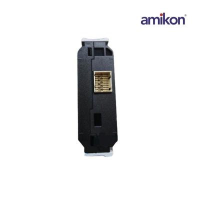 EMERSON 12P4987X062 KL2101X1-BA1 การ์ด I / O เสน่ห์