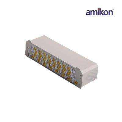 EMERSON 1X00884H01 คอนโทรลเลอร์ Ovation ขนาดกะทัดรัด