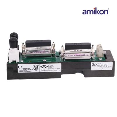 EMERSON KJ4001X1-NB1 12P3368X012 DeltaV LocalBus แนวนอนคู่สายซ้าย Extender