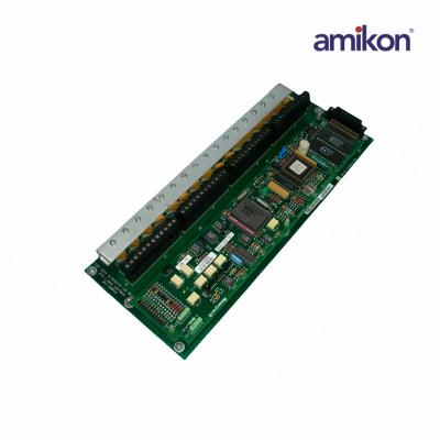 MU-TAMR03 51309218-125