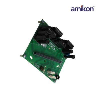  8C-TAIM01/51306999-175