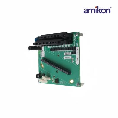 8C-TDOD51/51306075-175