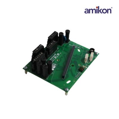  8C-TAIM01/51306999-175