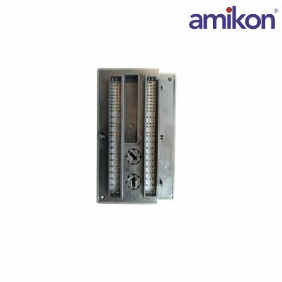 General Electric IC200MDL940 โมดูลเอาท์พุต VersaMax แบบแยกส่วน
    