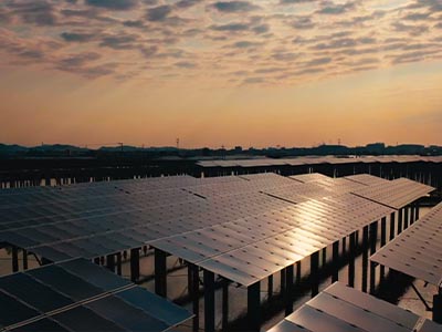 อะไหล่ Amikon Automation